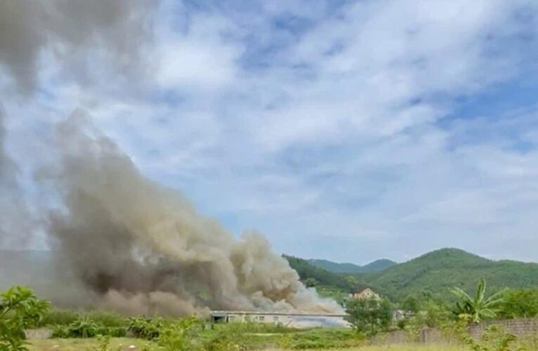 BÌNH KHÊ: KỊP THỜI KHỐNG CHẾ VỤ CHÁY TRANG TRẠI LỢN TẠI KHU TRUNG LƯƠNG