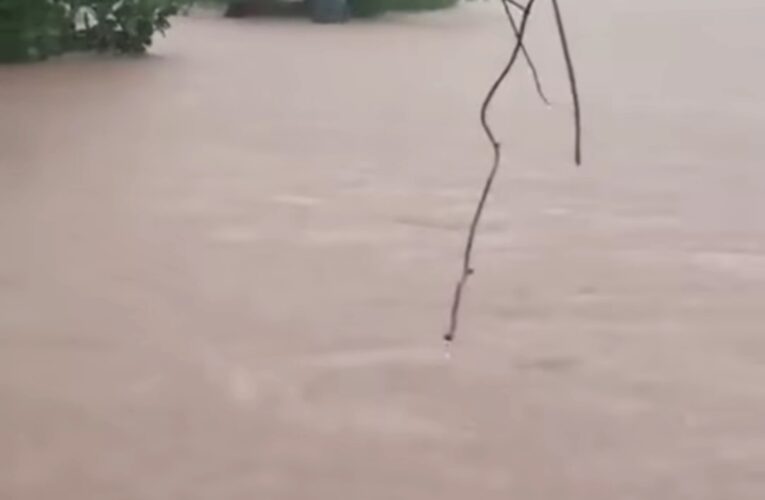 THANH HẢI TIÊN YÊN CŨ:VIDEO NGƯỜI DÂN GIẢI CỨU 1 CHÁU BÉ BỊ NƯỚC CUỐN TRÔI.